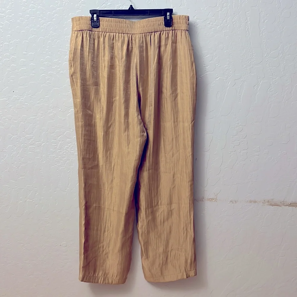 Chico’s Rayon High Waist Pant